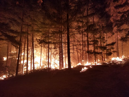 Learning from the past, Training the present, Or fail the future.