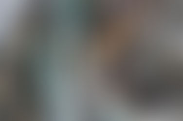News for 2019