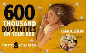 DUSTMITES ARE HARMFUL FOR YOUR HEALTH!