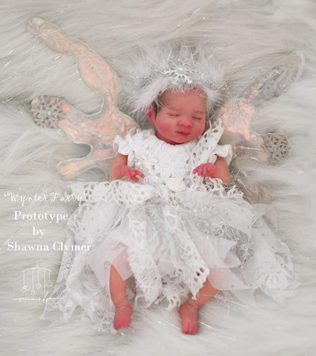 Wynter Mini Fairy Kit By Shawna Clymer -8.5
