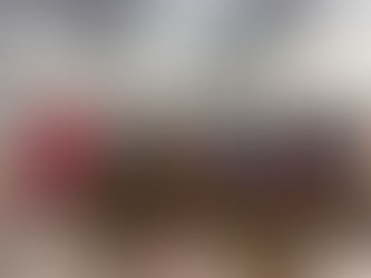 Novos Conselheiros do Conselho Estadual de Acompanhamento e Controle Social do FUNDEB Assumem Mandato com Foco em Desafios e Continuidade de Excelência.