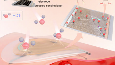 COCHE Seminar Series (28):Flexible Energy and Sensing Devices