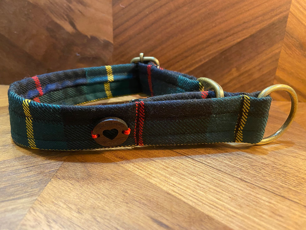 Miniature : COLLIER LÉVRIER WHIPPET RÉGLABLE TARTAN D'ÉCOSSE LAINE VERT/BLEU
