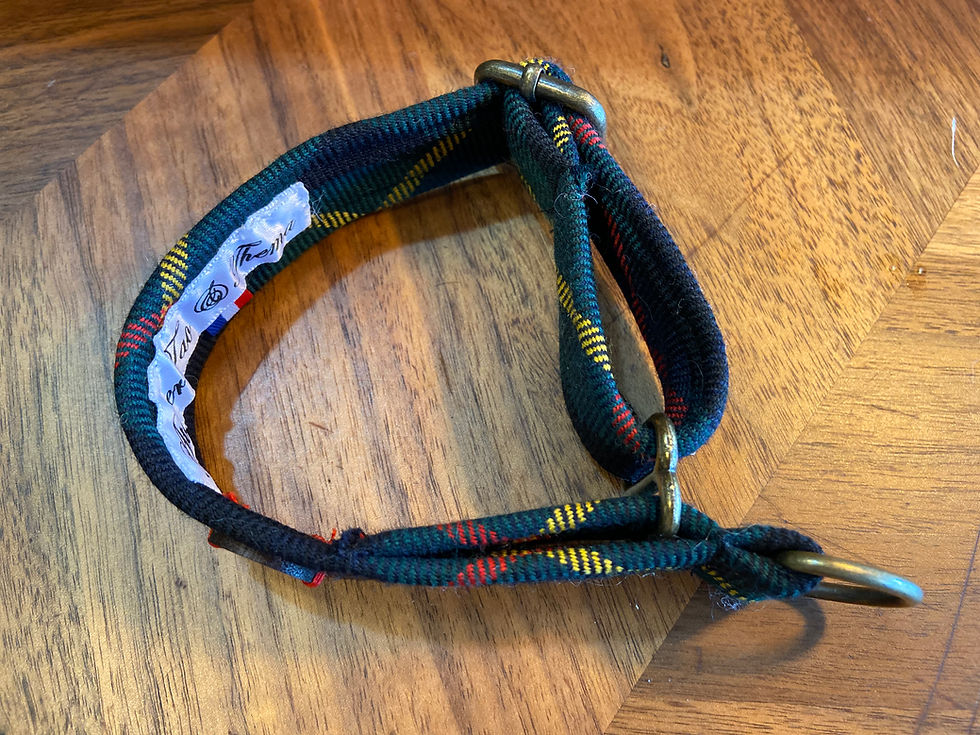 Miniature : collier martingale réglable lévrier italien et whippet en tartan cameron hunting pur laine sur sangle coton  vue de dessus