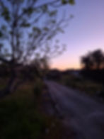 Sunset - Casa da Rita Eco-Lodge