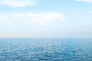 11062b_622a8927efc1489791336681e56363bb~mv2_edited.jpg