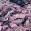 Miniatura: Dulse