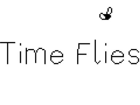 Out Of Index 2025 interview: Time Flies