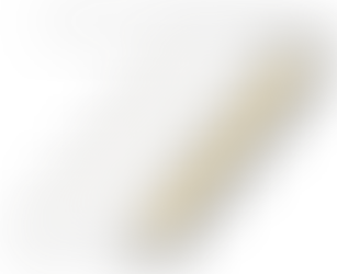 ASSISTIVE TECHNOLOGY PROVIDER IN VERMONT