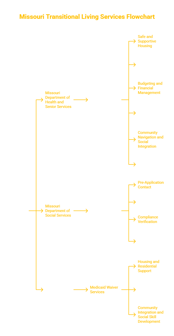 MISSOURI TRANSPORTATION SERVICES PROVIDER