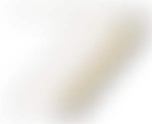 SKILLED NURSING SERVICES PROVIDER IN WISCONSIN