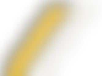 SUPPORTED EMPLOYMENT SERVICES PROVIDER IN VERMONT