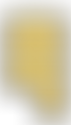 BEHAVIORAL HEALTH SERVICES PROVIDER IN WASHINGTON