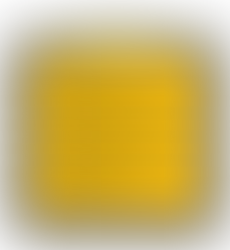 RESIDENTIAL SUPPORT SERVICES PROVIDER IN WASHINGTON