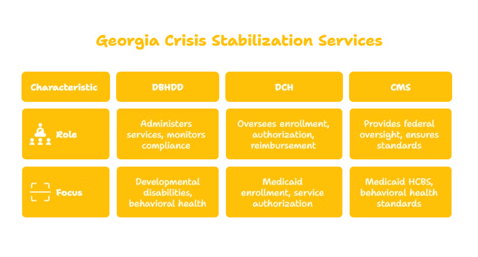 CRISIS STABILIZATION SERVICES PROVIDER IN GEORGIA