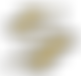 COMPANION CARE SERVICES PROVIDER IN UTAH