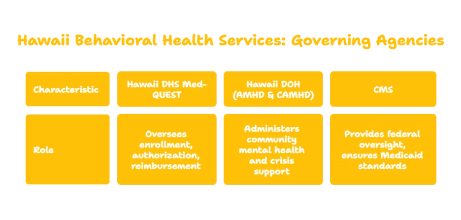 BEHAVIORAL HEALTH SERVICES PROVIDER IN HAWAII