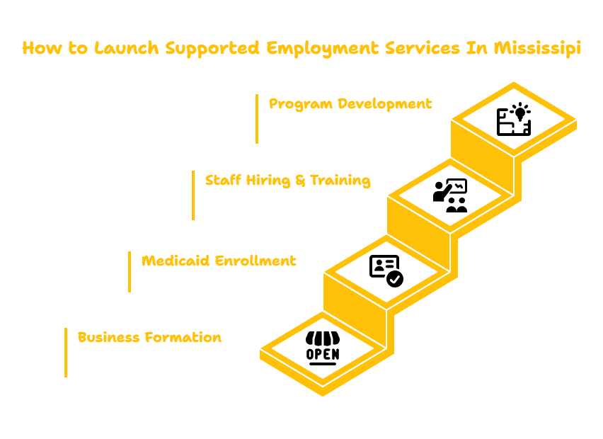 MISSISSIPPI SUPPORTED EMPLOYMENT SERVICES PROVIDER