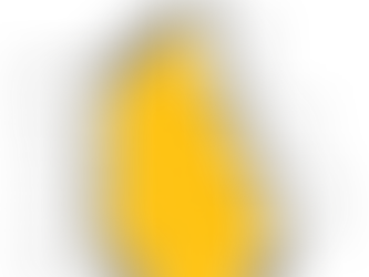 BEHAVIORAL HEALTH SERVICES PROVIDER IN VERMONT