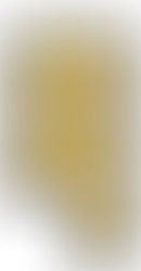 BEHAVIORAL SUPPORT SERVICES PROVIDER IN UTAH