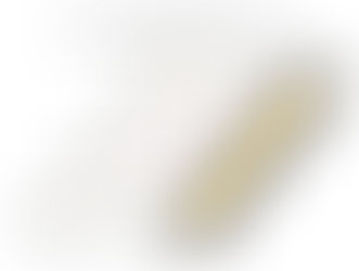 SUPPORTED EMPLOYMENT SERVICES PROVIDER IN TEXAS