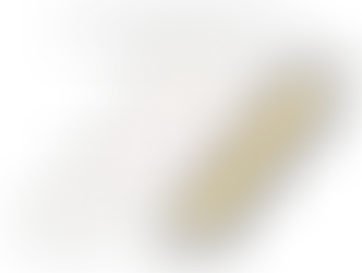 SUPPORTED EMPLOYMENT SERVICES PROVIDER IN TEXAS