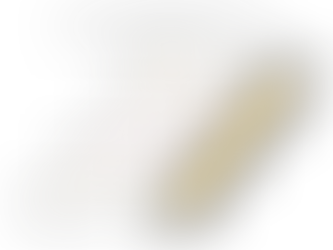 SUPPORTED EMPLOYMENT SERVICES PROVIDER IN TEXAS