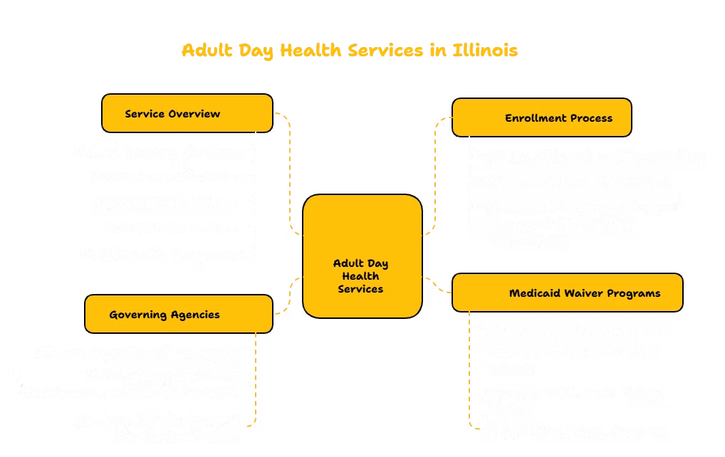 ADULT DAY HEALTH SERVICES PROVIDER IN ILLINOIS