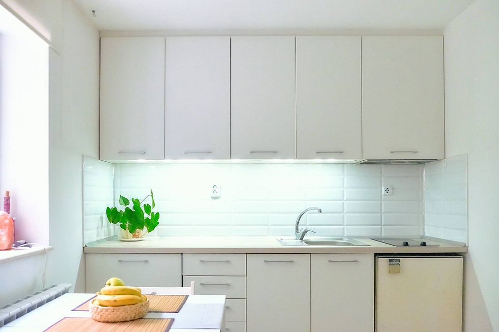 White kitchen with a green plant in a cheap Airbnb apartment in Sofia.
