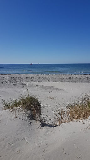 IMG-20200419-WA0002.jpeg