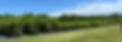 Far West Island.jpg
