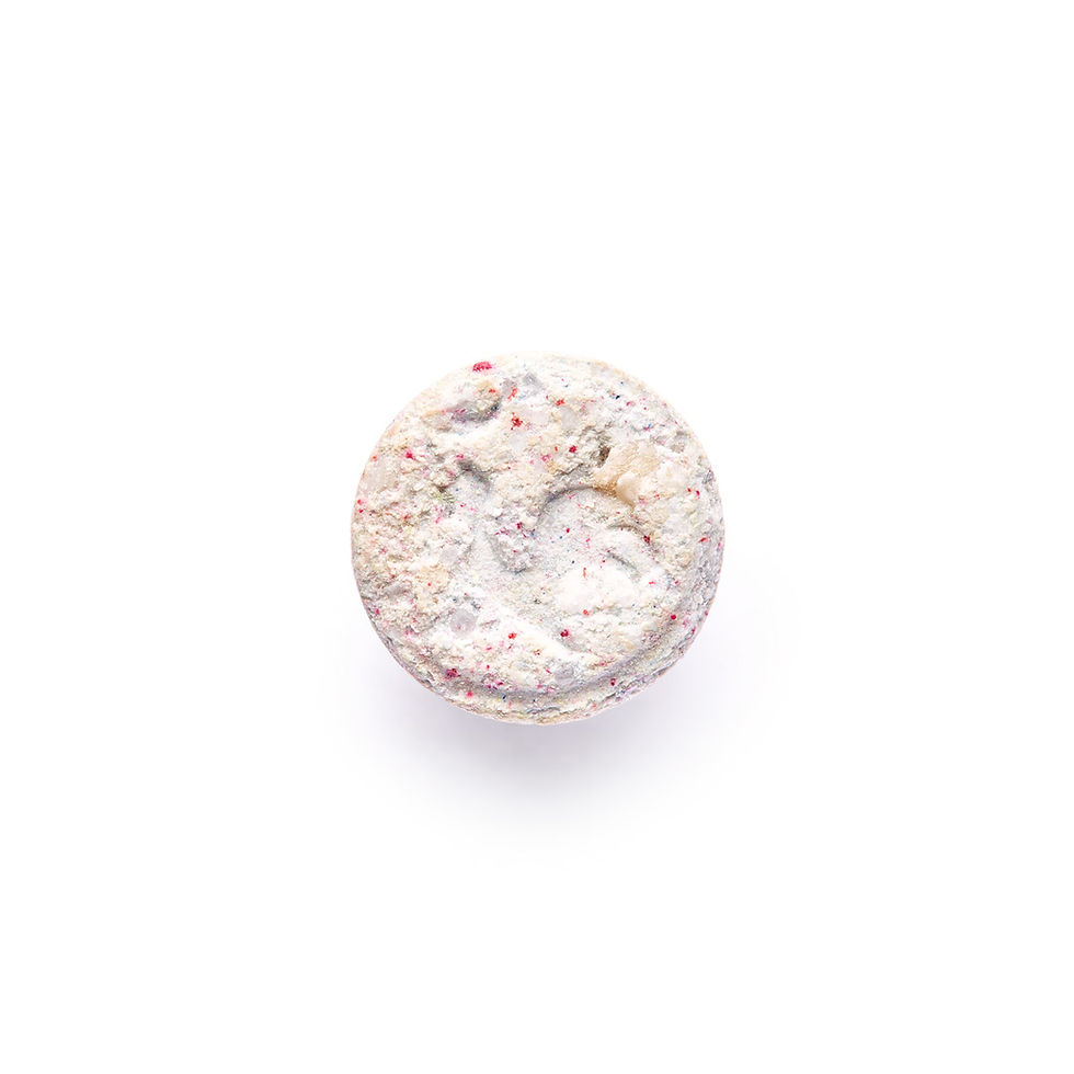 Le Coq Sportif - White