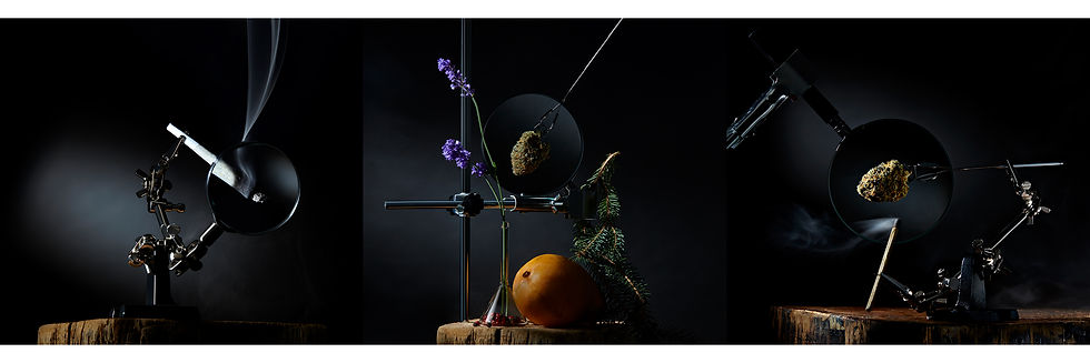 Banner - Art&Science.jpg