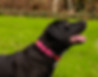 240AEB79-709A-42AC-BCF2-B7F812737ED3.jpeg