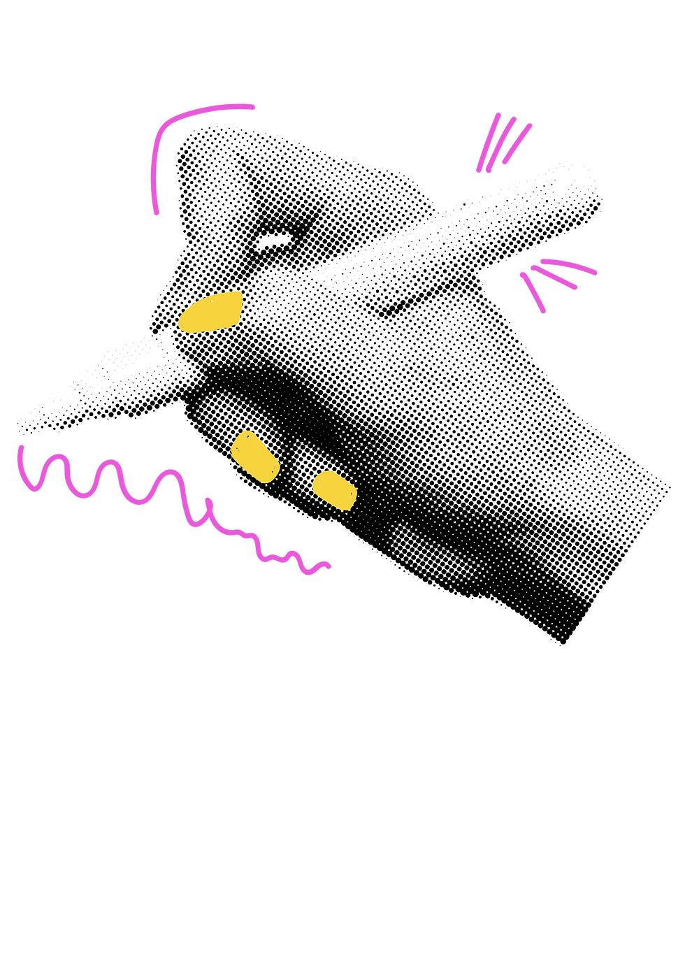 Visuals (4)_edited.png