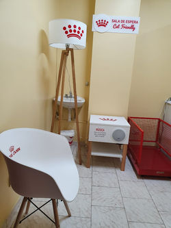Sala de espera cat friendly