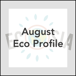 August Eco Profile ~ Ecosia