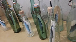 Bouteilles à la mer