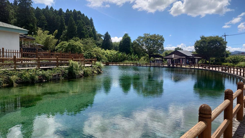 「日本名水100選」の丸池湧水にも立ち寄りました