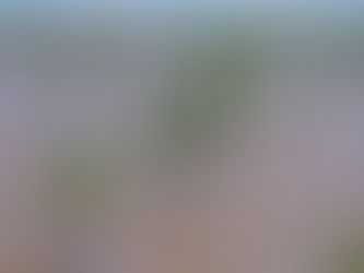 Ngày dọn rác bải biển - Hành động nhỏ, thay đổi lớn