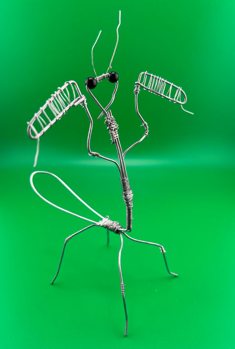 Wire Animal