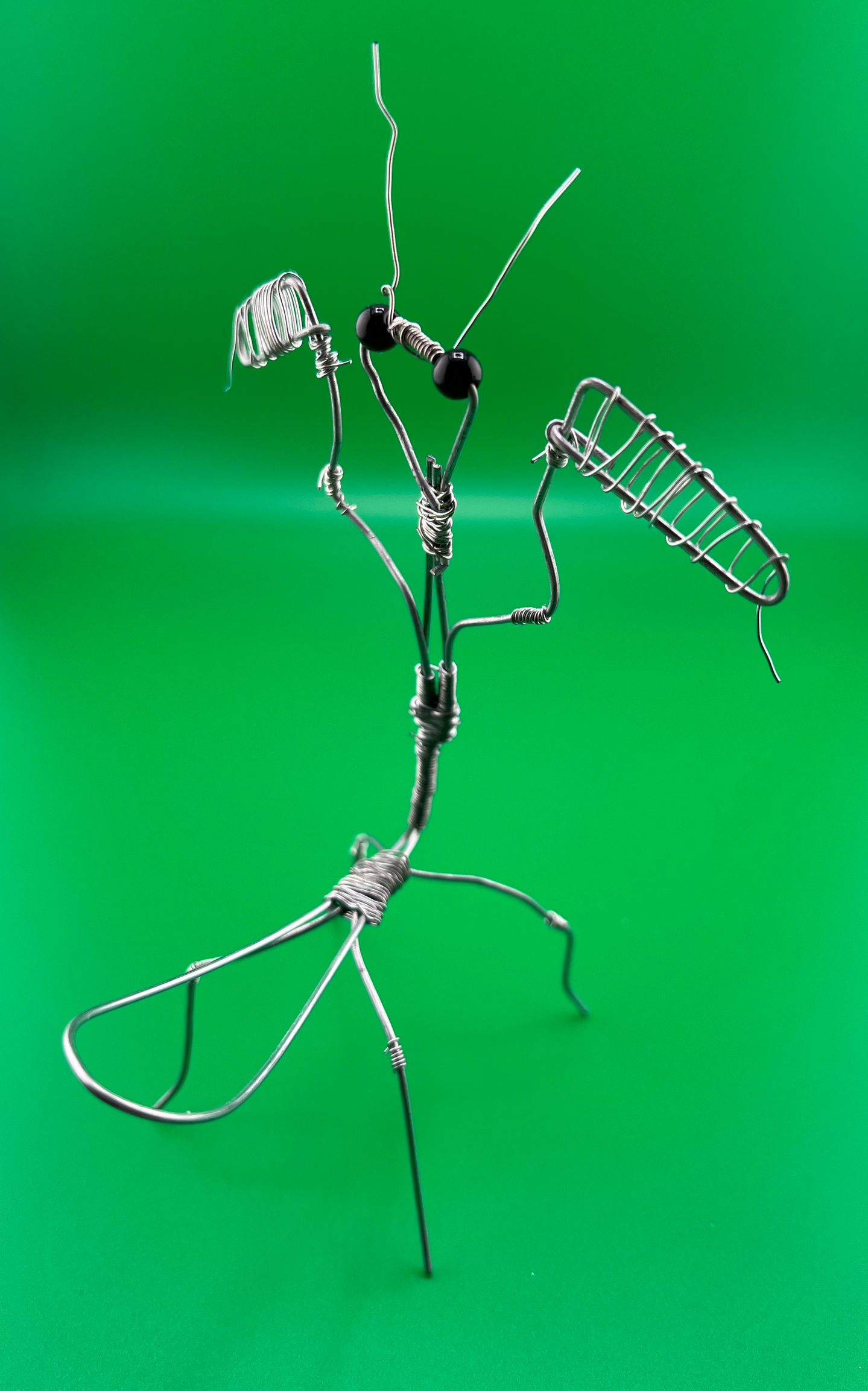 Mantis (side view)