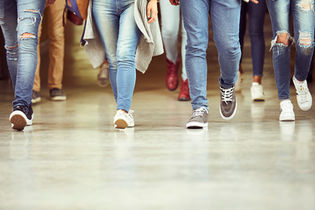 Meeting the mental health needs of students