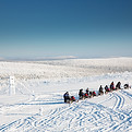 Many snowmobiles