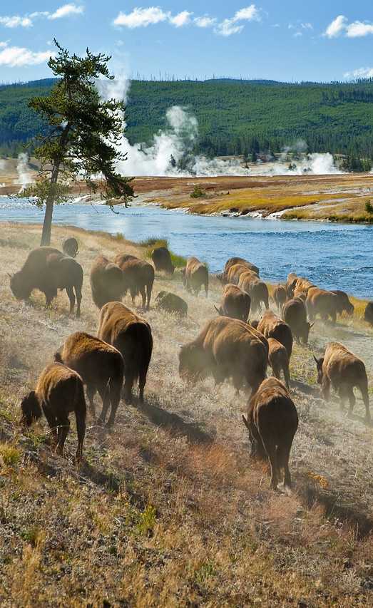 Jackson Hole.jpg