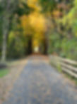 Trail Pic.JPG