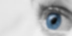 360_F_274159589_6EK5ILNyFUU8JFVlHOG0DUWRAc1NKgkH.jpg