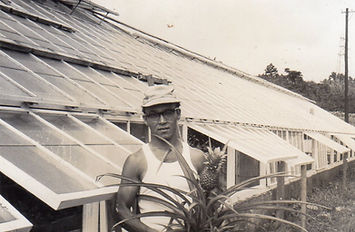 img011.jpg