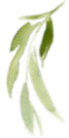 branch-2 (3).png