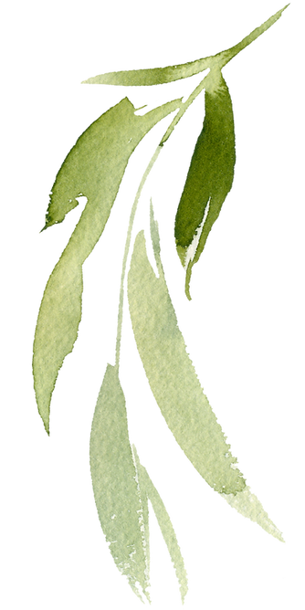 branch-2 (3).png